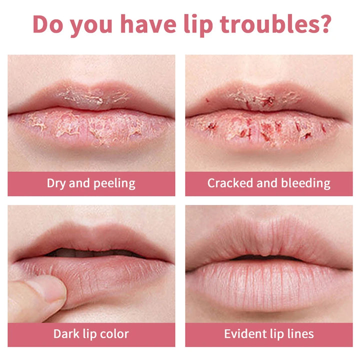 Black Honey Lipstick Long Lasting Moisturizing Natural Lip Plumper Makeup Lip Plumping Gloss Cosmetics Exfoliating for Lip